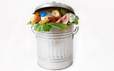 Food waste – what is the real cost?