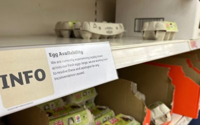 Tesco is the latest supermarket to ration eggs as supply chain issues hit stock levels