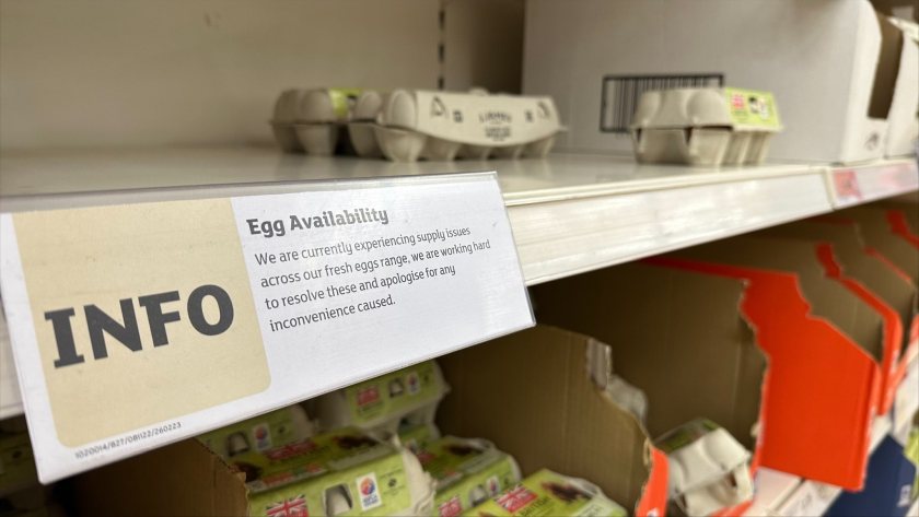 Tesco is the latest supermarket to ration eggs as supply chain issues hit stock levels