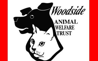 Woodside Animal Sanctuary appeal for help paying heating costs