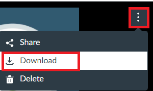 image showing option to download video