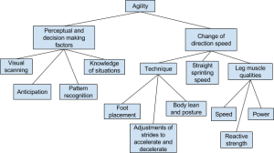 deterministic model of agility