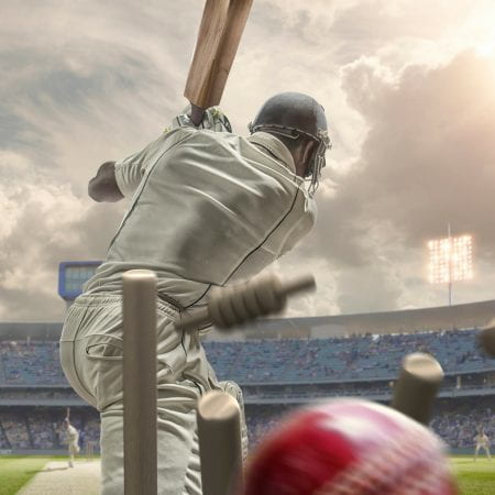 Image showing a cricketer going out