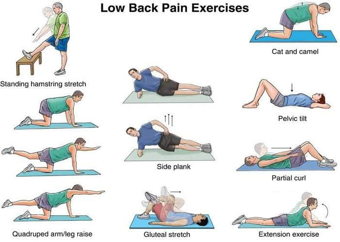 Most Common Exercises