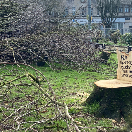 Tree stump reading"RIP 14.03.23 sorry we didn't save you"