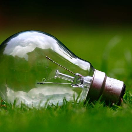 Light bulb on grass