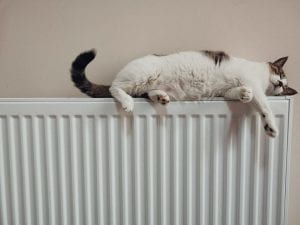A cat on a radiator.